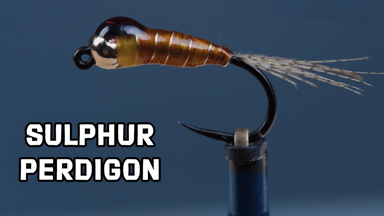 Perdigon