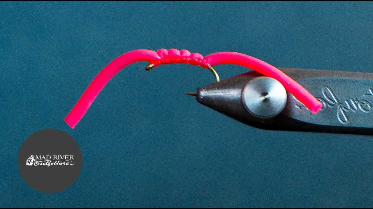 Squirmy Wormy