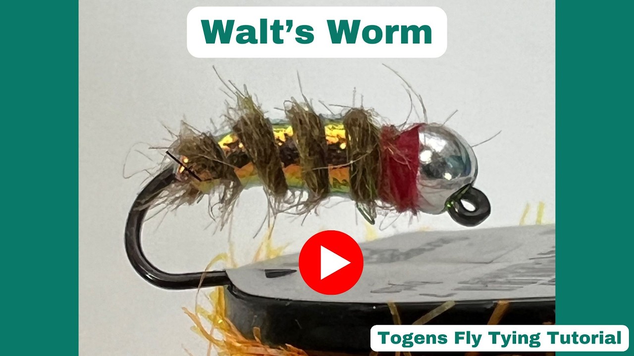 Walt's Worm