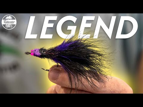 Tarpon Toad