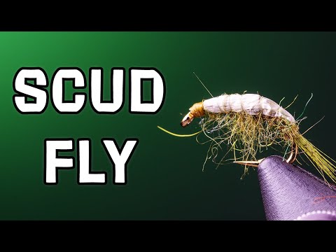 Scud