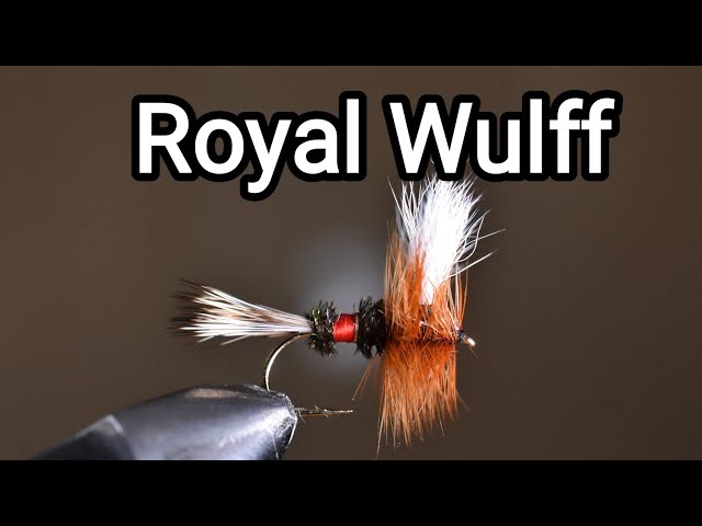 Royal Wulff