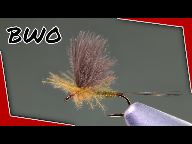 CDC Blue Wing Olive