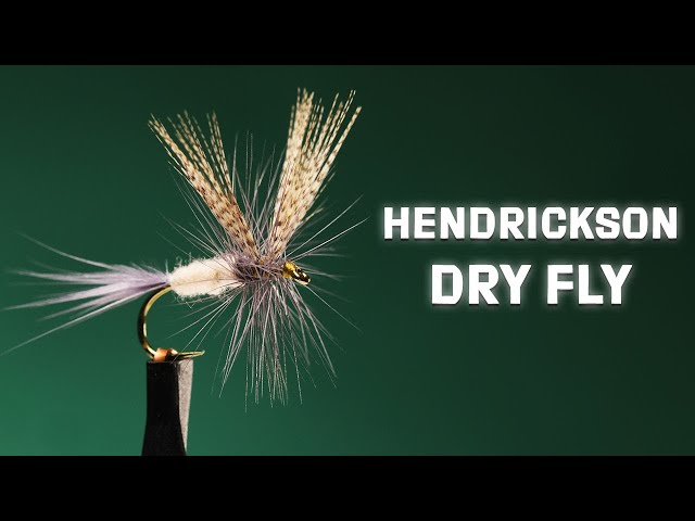 Hendrickson