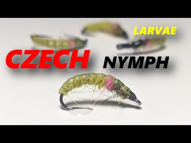Czech Nymph (Classic Weighted)