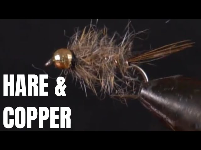 Hare & Copper (NZ Style)