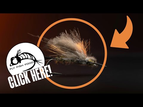 Libby's Skwala Stonefly