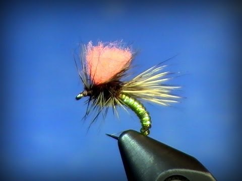 Clown Shoe Caddis