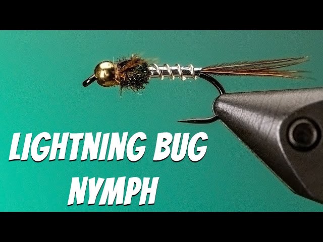 Lightning Bug