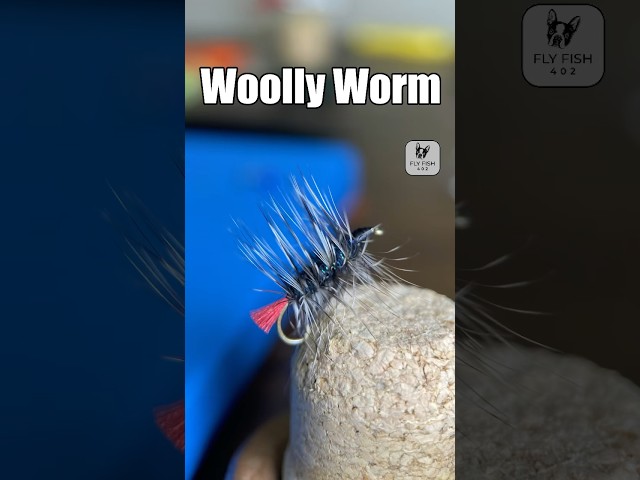 Woolly Worm