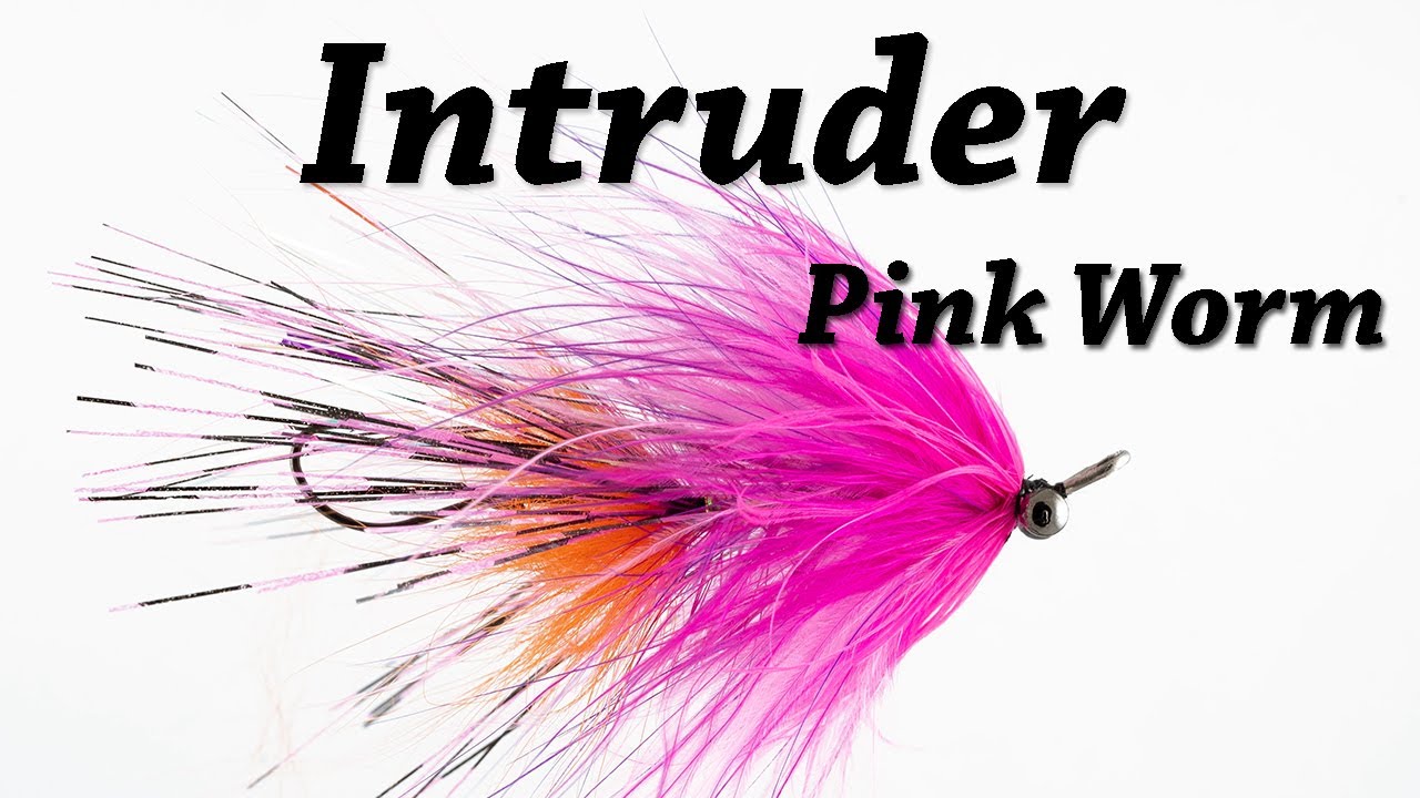 Intruder - Pink/Orange
