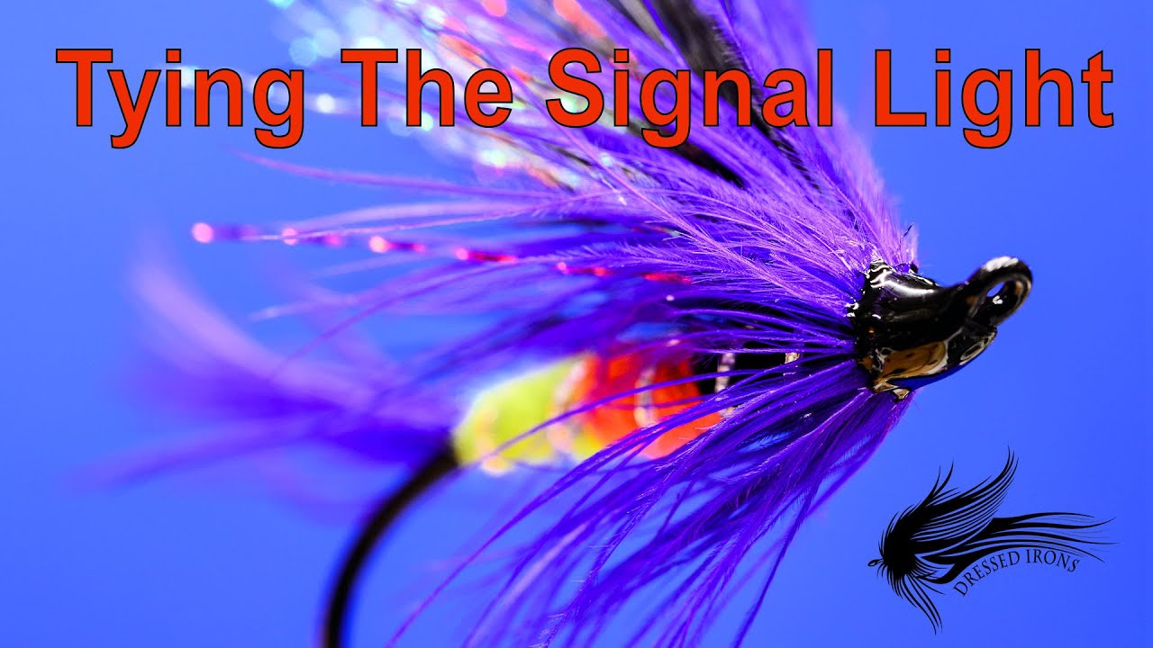 Signal Light