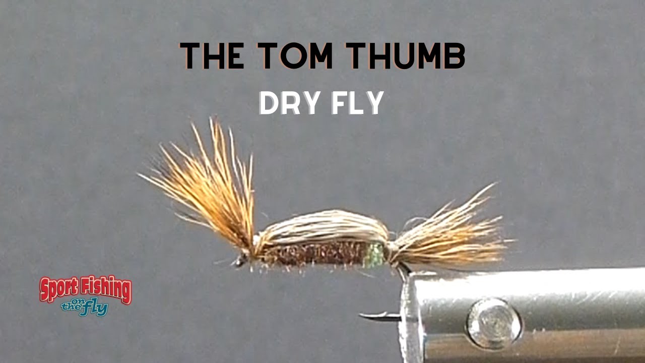 Tom Thumb