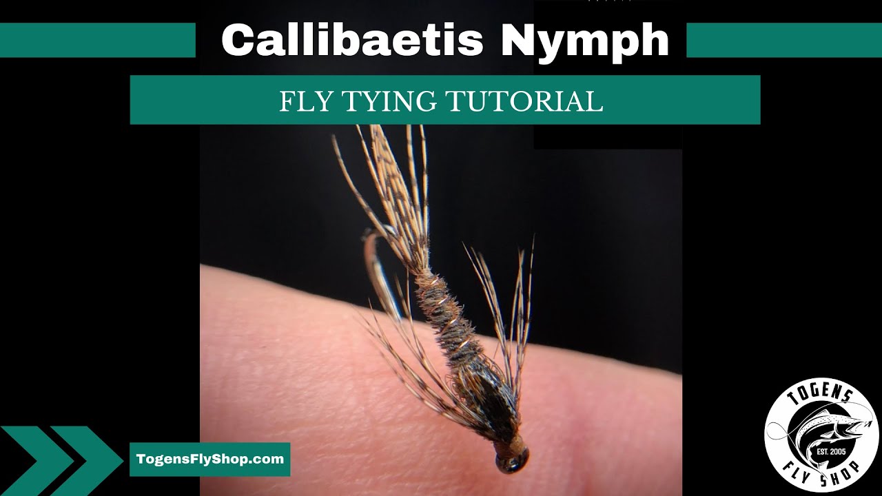 Callibaetis Nymph