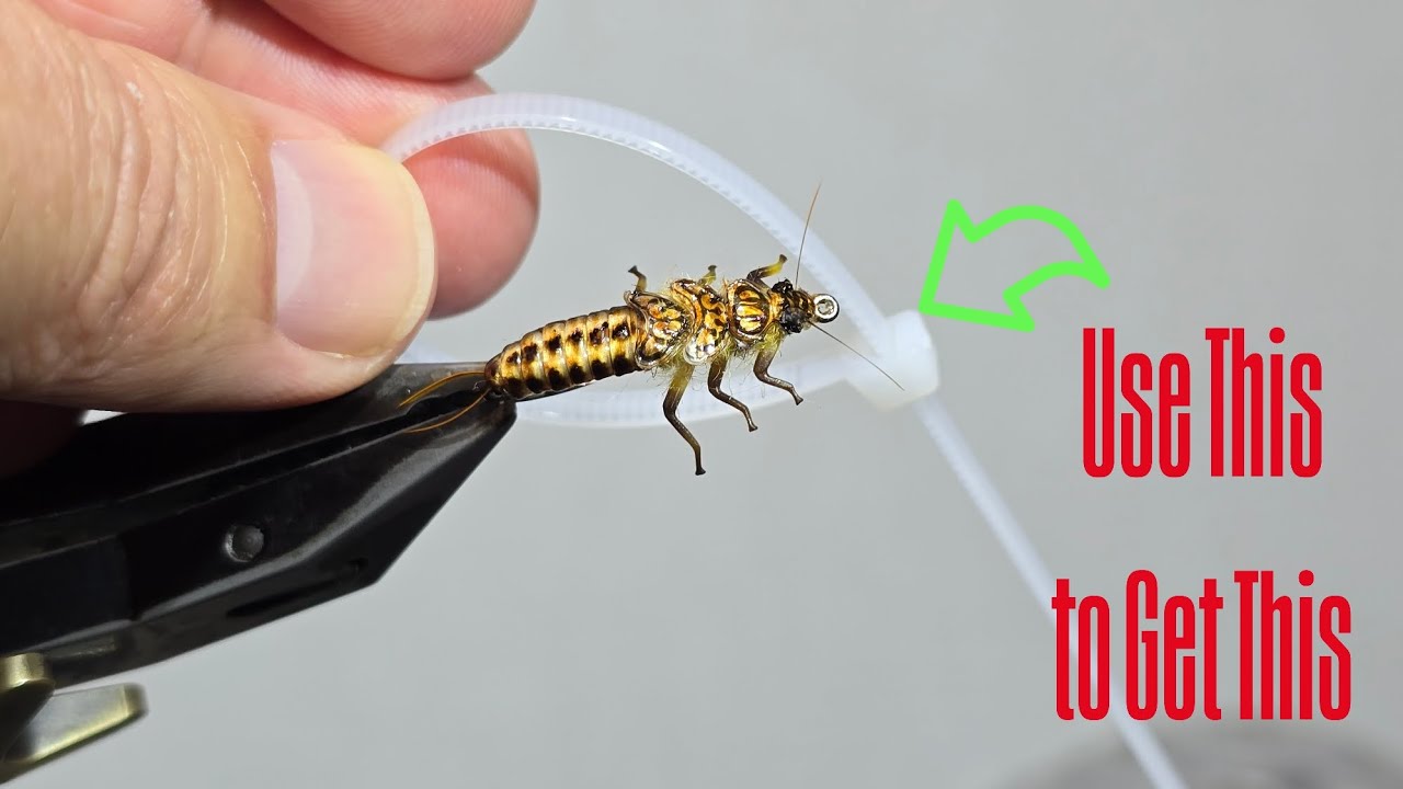 Golden Stonefly Nymph