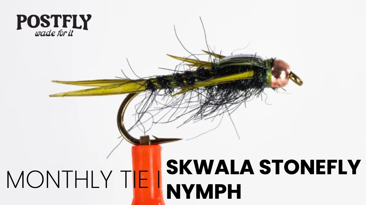 Skwala Stonefly Nymph