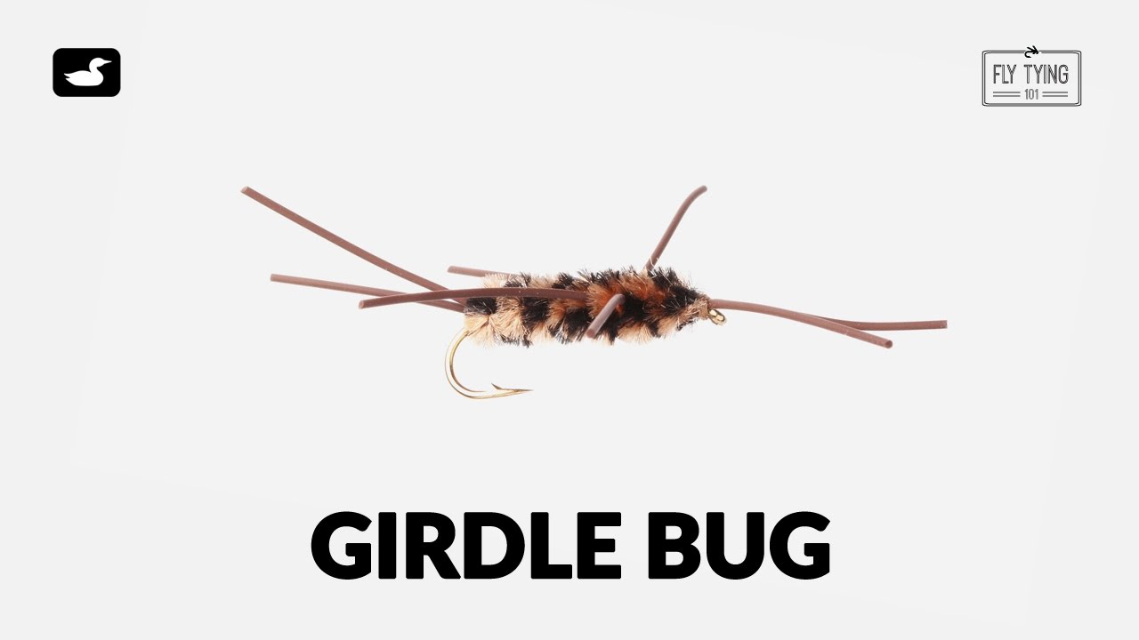 Girdle Bug