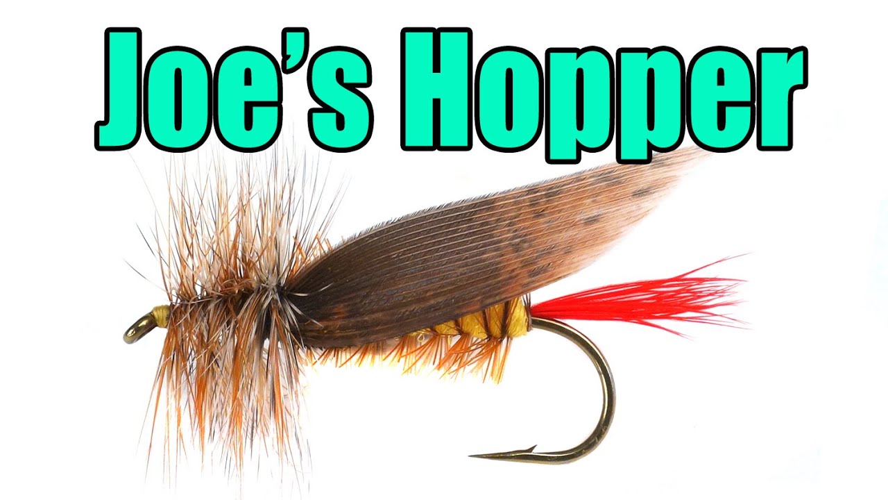 Joe's Hopper
