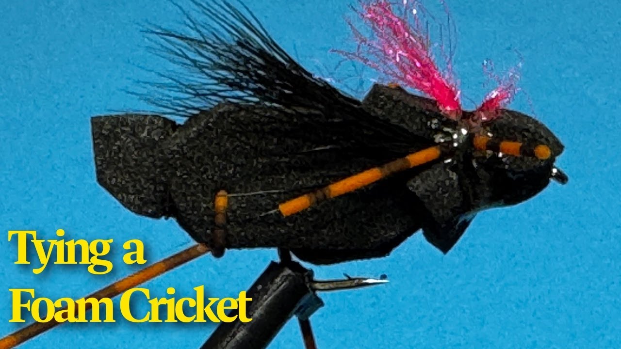 Foam Cricket