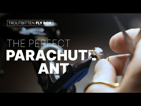 Troutbitten Parachute Ant