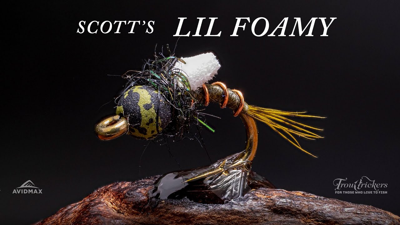 JuJu Chironomid