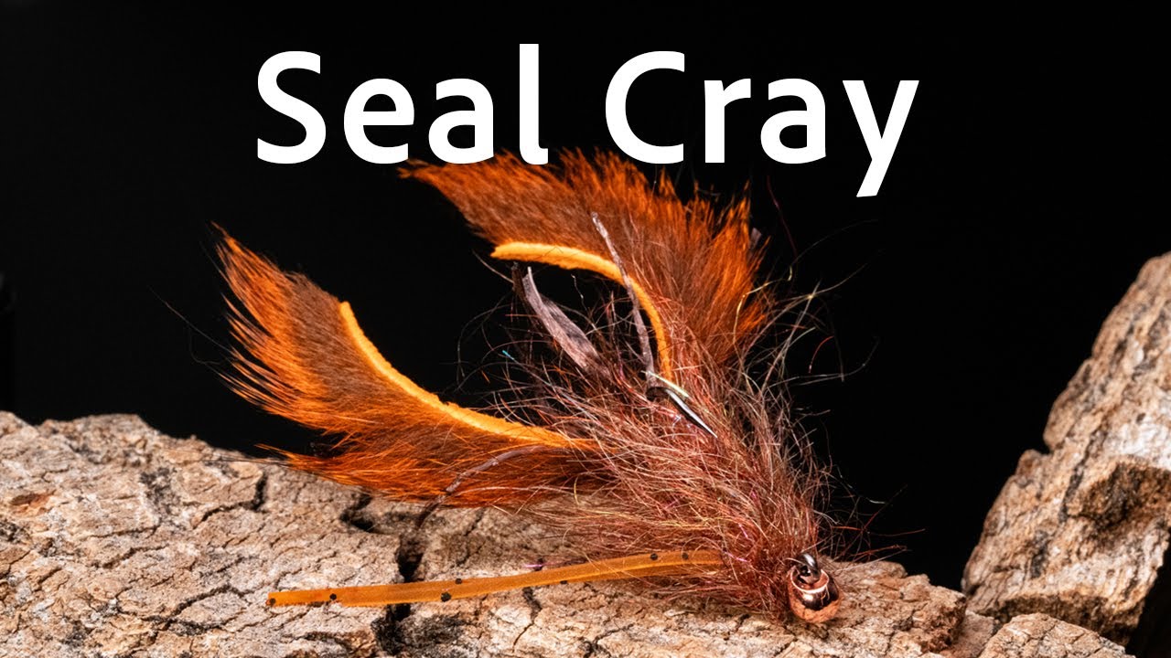Seal Cray